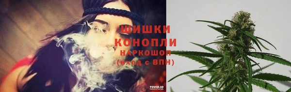амф Балахна