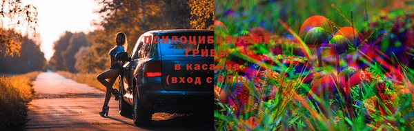 кокс Баксан
